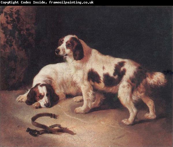 George Horlor Brittany Spaniels